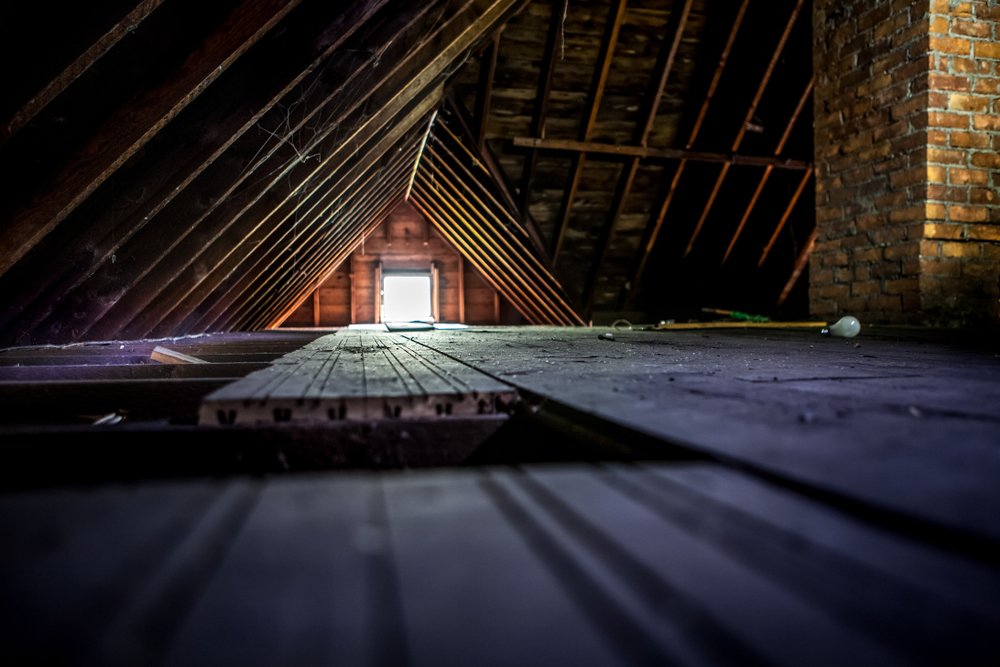 What to Do if You Hear Scratching in Your Attic