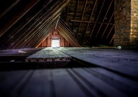 What to Do if You Hear Scratching in Your Attic